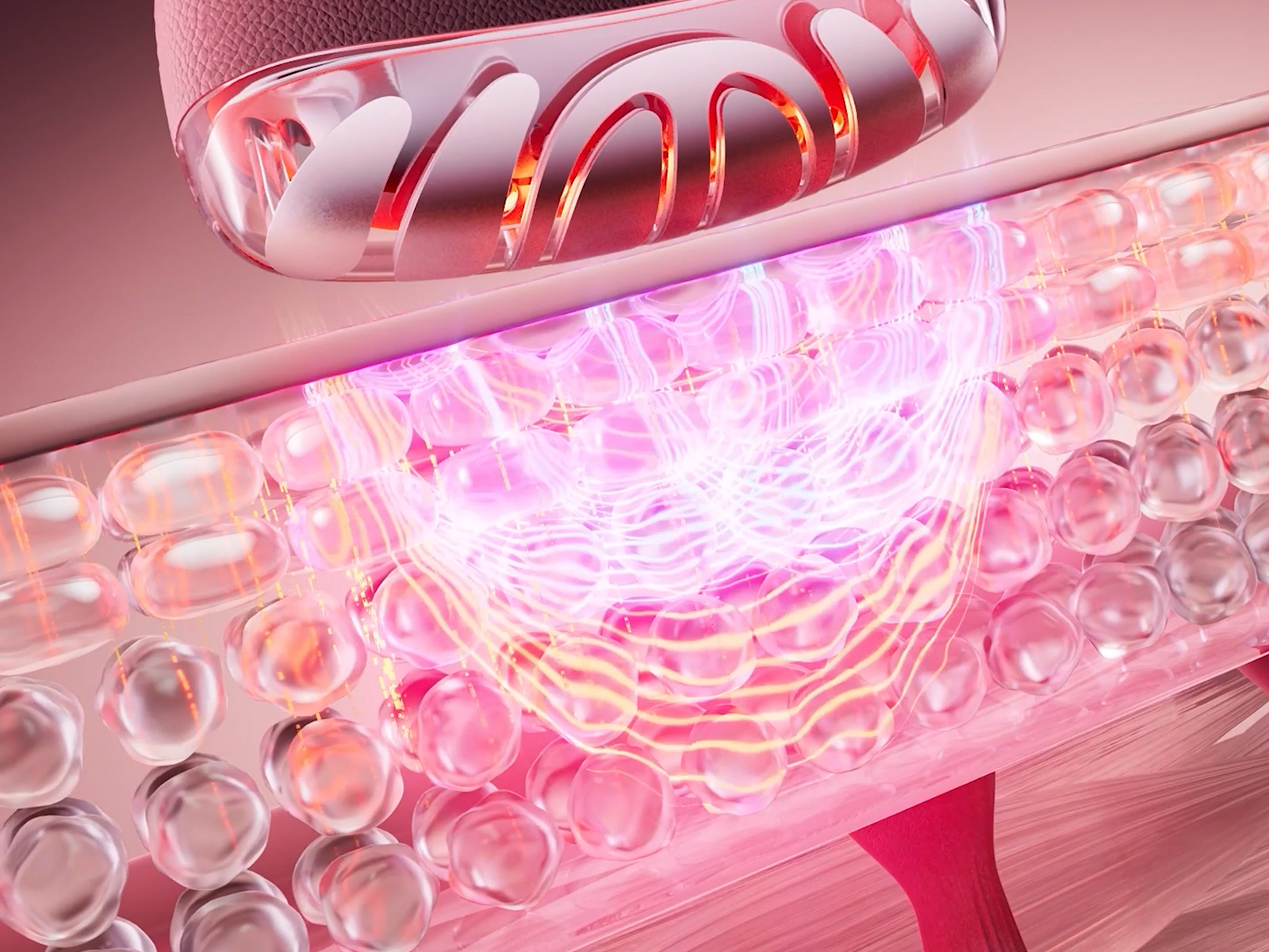 雅萌YA-MAN官方网站