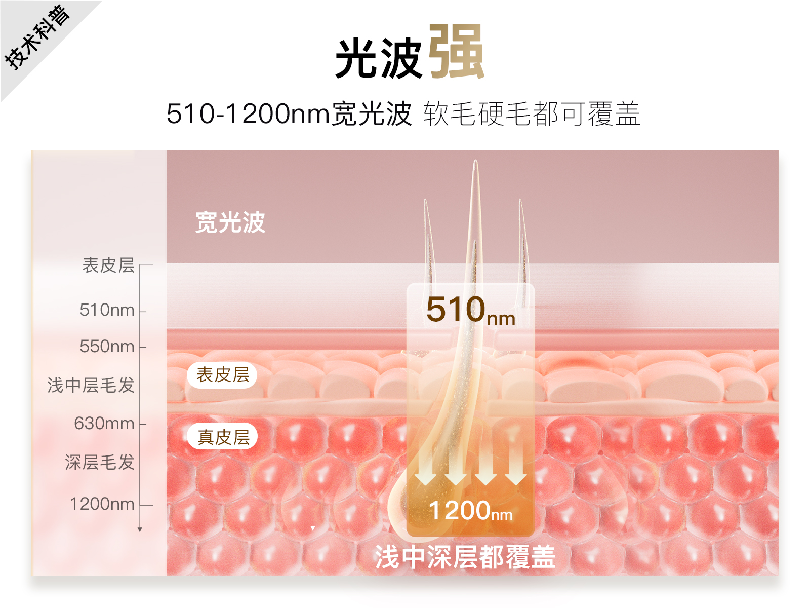 雅萌YA-MAN官方网站
