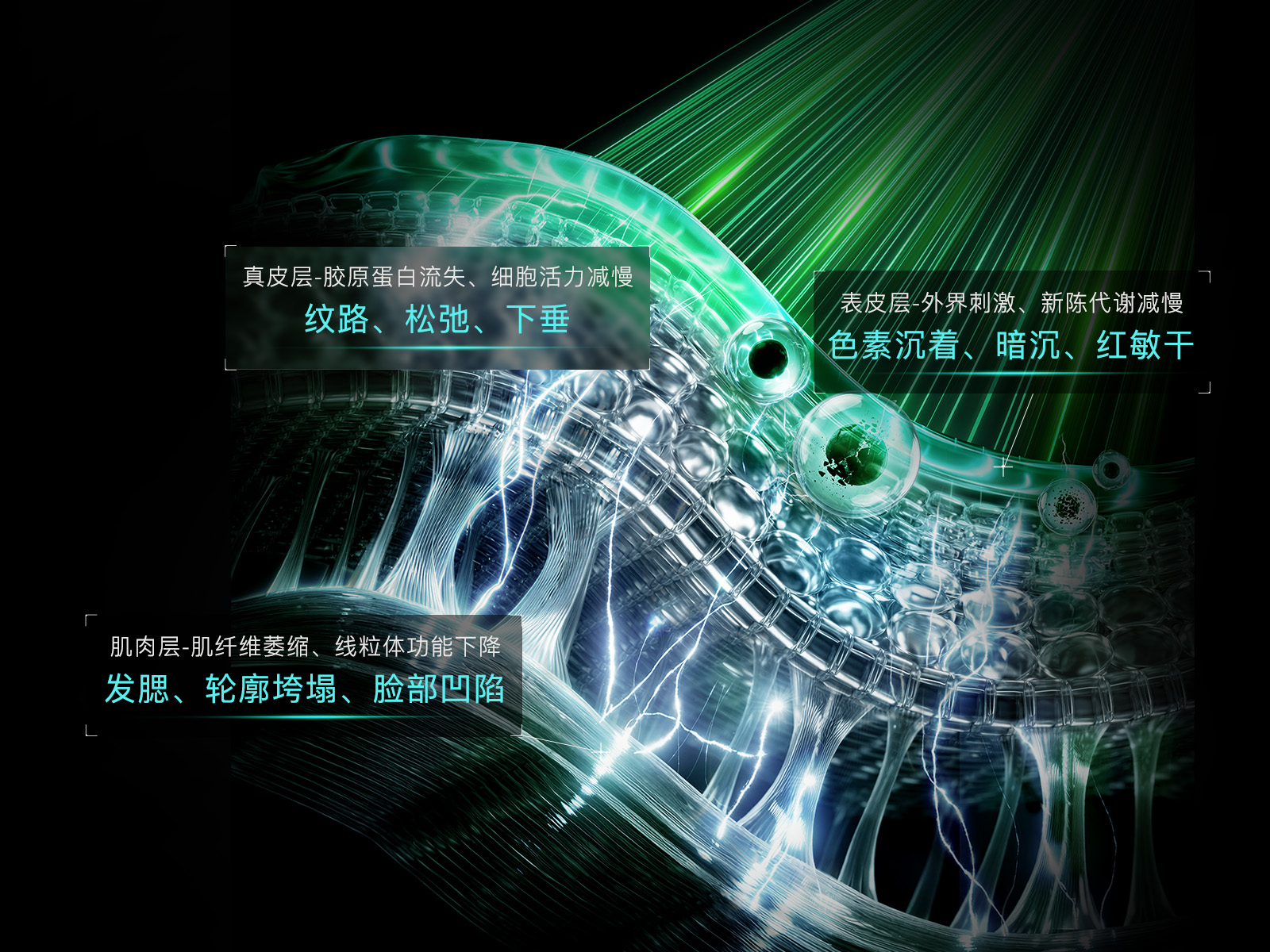 雅萌YA-MAN官方网站